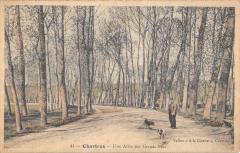 Chartres - Une Allee Des Grands Pres à Chartres