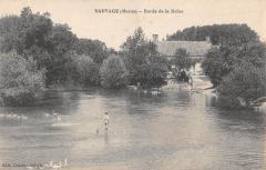 Sauvage - Bords De La Seine
