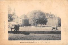 Environs De Longue - La Modtais - Vaches