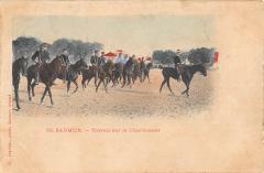 Saumur - Travail Sur Le Chardonnet à Saumur