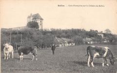 Ballon - Coin Champetre Sur Le Chateau De Ballon - Vaches -
													72 Sarthe
												