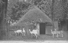 Pougues Les Eaux - Les Daims à Pougues-les-Eaux