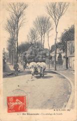 En Nivernais - Un Attelage De Boeufs -
													58 Nièvre
												