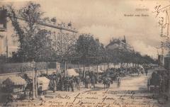 Angers - Marche Aux Fleurs à Angers