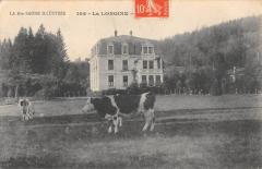 La Longine - Vaches à La Longine