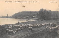 Soulangy - Pres Pougues Les Eaux - Les Bords De La Loire à Pougues-les-Eaux