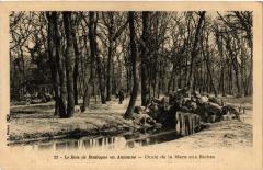 Carte postale ancienne Le Bois de Boulogne en Automne - Chute de la Mare aux Biches
                                                                     à Paris 16e
                                