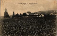 Julienas Chateau des Capitans M. Peyret propr