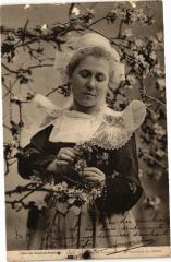 Pommiers en fleurs