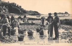 Cancale - Le Lavage Des Huitres à Cancale