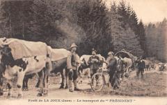 Foret De La Joux - Le Transport Du President -
													39 Jura
												