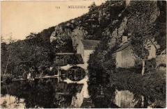 Meluzien