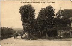 Coulanges le Vineuse les Promenades à Menades