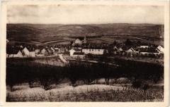 Coulanges le Vineuse vue generale