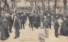 Paris - Marche Aux Oiseaux -
																					75000 Paris
																			