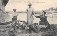 Saint Raphael - Type De Poissonnieres - Arrivee Du Poisson à Saint-Raphaël