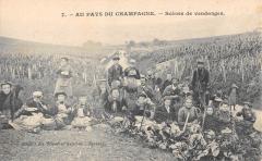 Au Pays Du Champagne - Scenes De Vendanges
