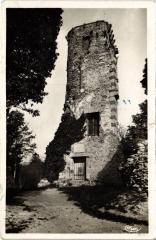 Montfort l'Amaury Les Ruines du Chateau France à Montfort-l'Amaury