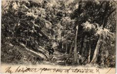 Chevreuse Chateau de la Madeleine France à Chevreuse