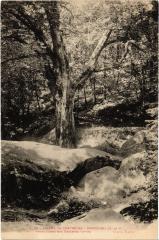 Dampierre Vieux Chene aux Cascades France -
													78 Yvelines
												