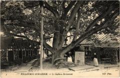 Villennes s Seine Le Sophora Restaurant France