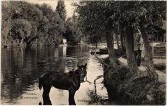 Villennes s Seine L'abreuvoir France