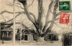 Villennes s Seine Le Sophora France -
													78 Yvelines
												