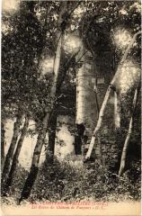 Chateau la Valliere Les Ruines du Chateau France