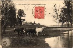 Les Bords du Cher Paturage, le retour France