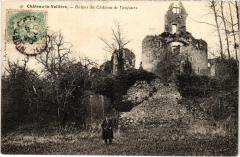 Chateau la Valliere Ruines du Chateau de Vaujours France