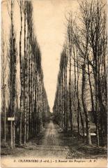 Chambourg L'Avenue des Peupliers France