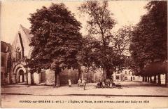 Vernou L'Eglise, la Place, le vieil ormeau plante France