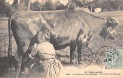 La Normandie - A La Ferme Et Aux Champs - La Traite Au Paturage -
													14 Calvados
												