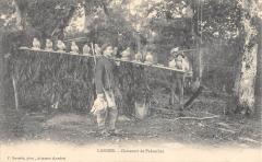 Landes - Chasseurs De Palombes -
													40 Landes
												