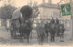 Dax - Attelage De Mules à Dax