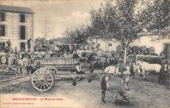 Banyuls Trilles - La Mise En Gare - Perpignan -
																					66100 Perpignan
																			