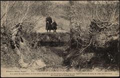 Bois de la Grande-palud à La Forest-Landerneau