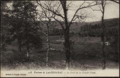 La Forêt de la Grande-Palud à La Forest-Landerneau