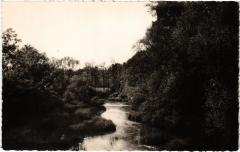 Gurgy Les Graviers France -
																					89250 Gurgy
																			