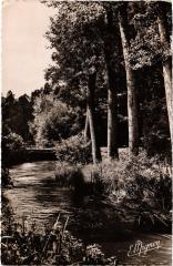 Themes Le Pont du Lavoir sur le Vrin France -
													89 Yonne
												