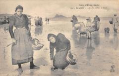 Cancale - La Peche Au Bas De L'Eau à Cancale