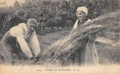 Types De Touraine
