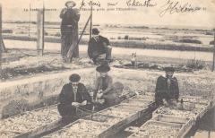 La Teste - Reserve D'Huitres Pour L'Expedition