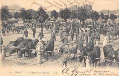 Douai - Le Marche Aux Bestiaux à Douai