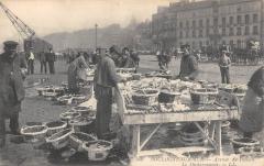 Boulogne Sur Mer - Arrivee Du Poisson - Le Dechargement -
																					62200 Boulogne-sur-Mer
																			