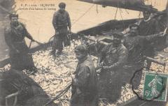 Le Havre - Arrivee D'Un Bateau De Hareng au Havre