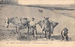 Saint Valery En Caux - Le Transport Des Galets -
																					76460 Saint-Valery-en-Caux
																			