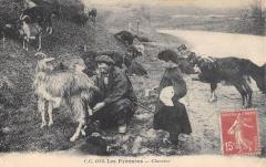 Les Pyrenees - Chevrier