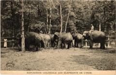 Paris Expo Coloniale elephants