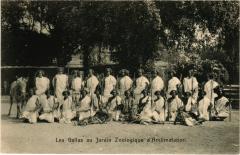 Les Gallas au Jardin Zoologique d'Acclimatation à Neuilly-sur-Seine